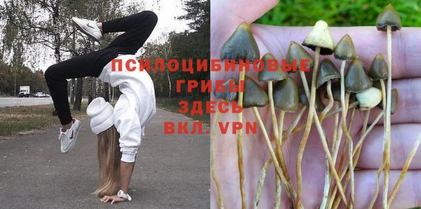 каннабис Алзамай