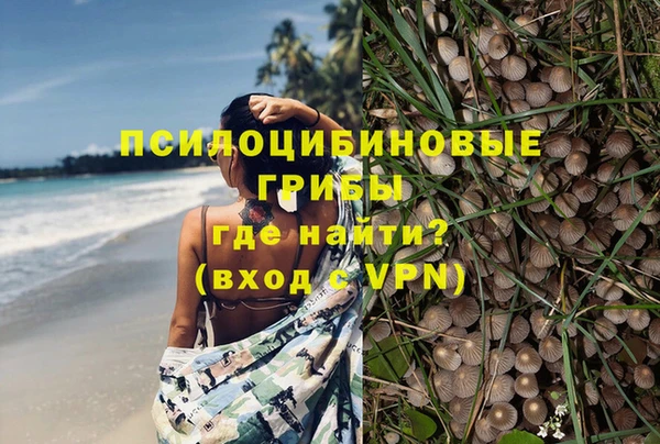 ПСИЛОЦИБИНОВЫЕ ГРИБЫ Аркадак