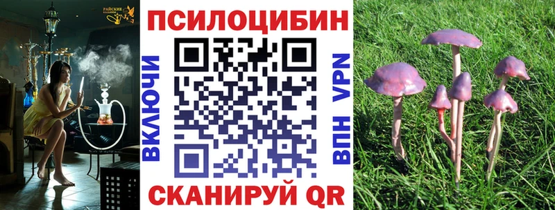 Псилоцибиновые грибы Psilocybe  магазин    Адыгейск 